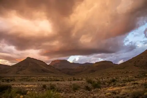 Votre safari dans le parc national de Karoo