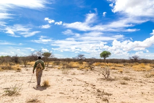 Faire un Safari en Afrique à pied
