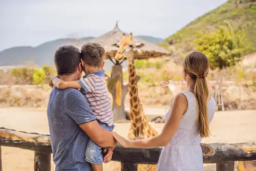 Bon à savoir pour un safari en famille