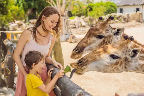 Quel prix pour un safari avec enfants en Afrique ?